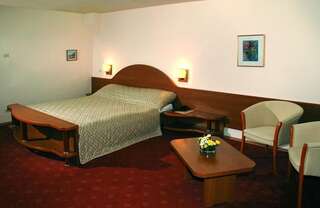 Отель Hotel Irisa Бухарест Двухместный номер с 1 кроватью-3