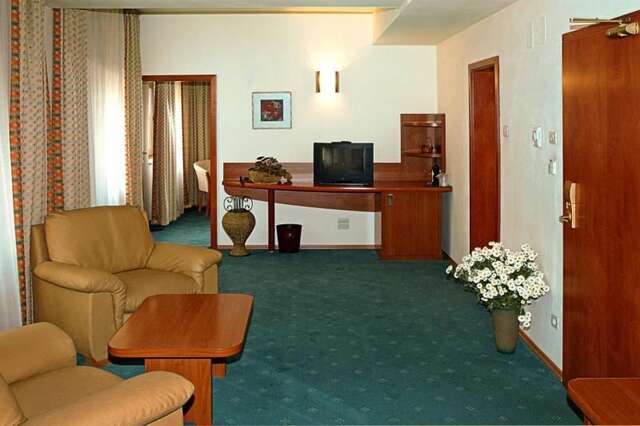 Отель Hotel Irisa Бухарест-32
